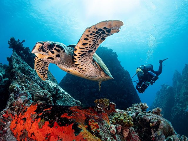 Best snorkelling spots Mahe Seychelles